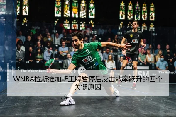 la-si-wei-jia-si-wang-pai-zan-ting-hou-fan-ji-xiao-lv-yue-sheng-de-si-ge-guan-jian-yuan-yin-2-851.jpg